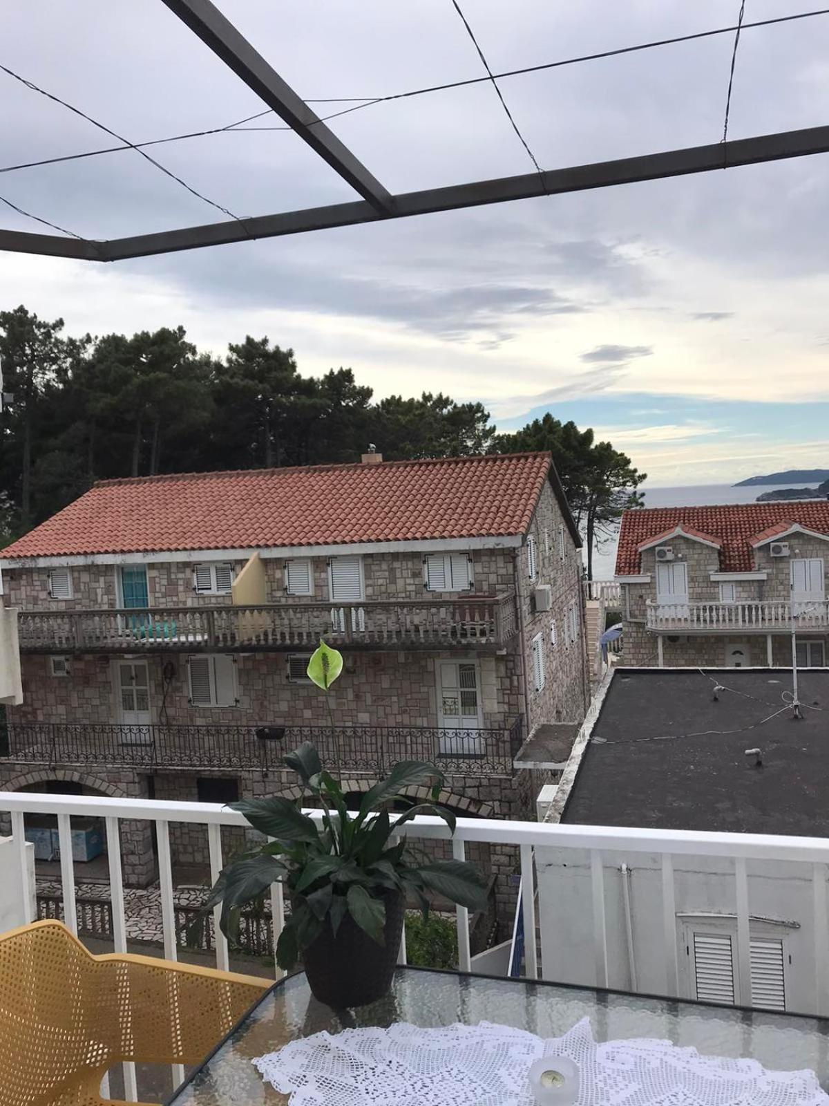 Apartments Vila Andja スヴェティ・ステファン 部屋 写真